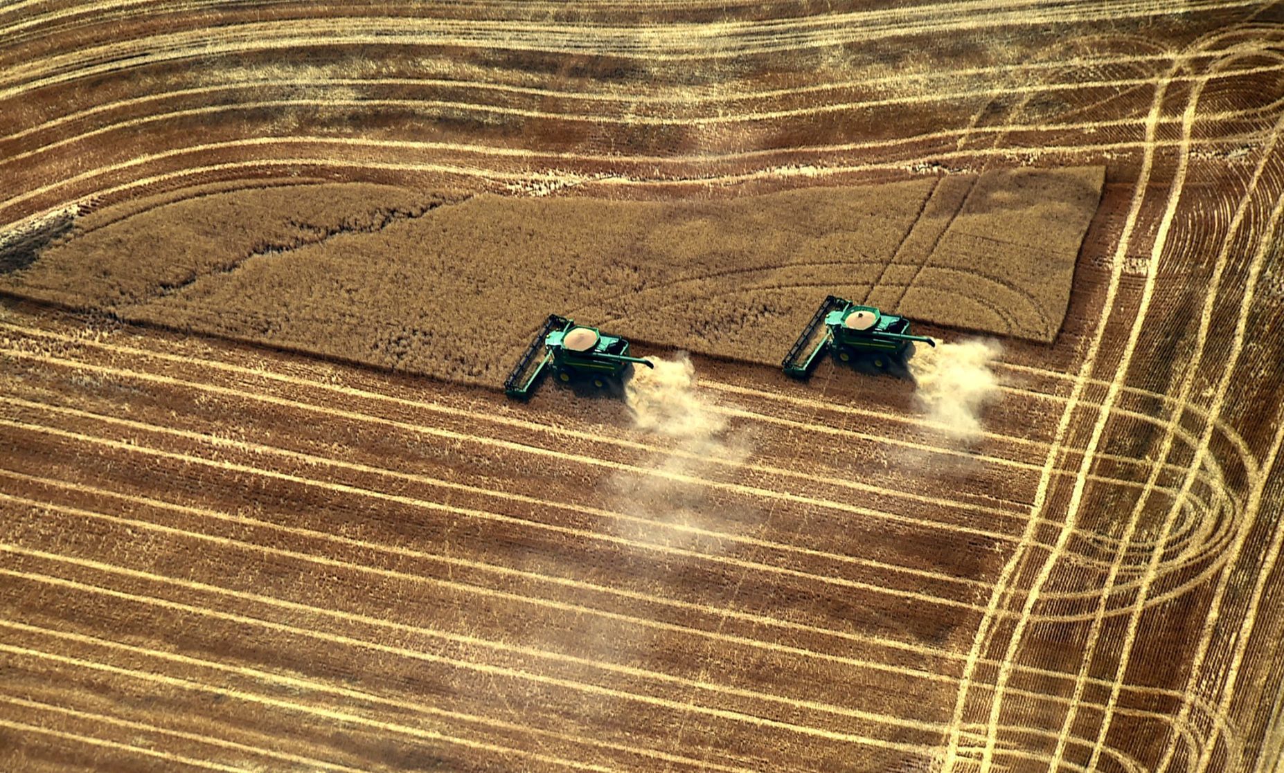 Harvest aerial